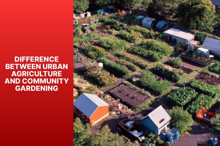 Difference Between Urban Agriculture And Community Gardening