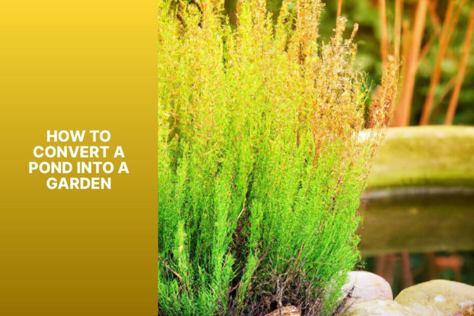 How To Convert A Pond Into A Garden