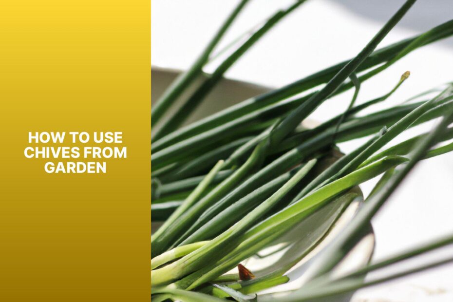 How To Use Chives From Garden