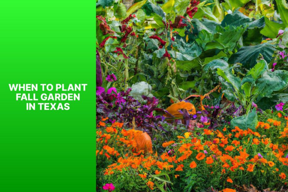 When To Plant Fall Garden In Texas