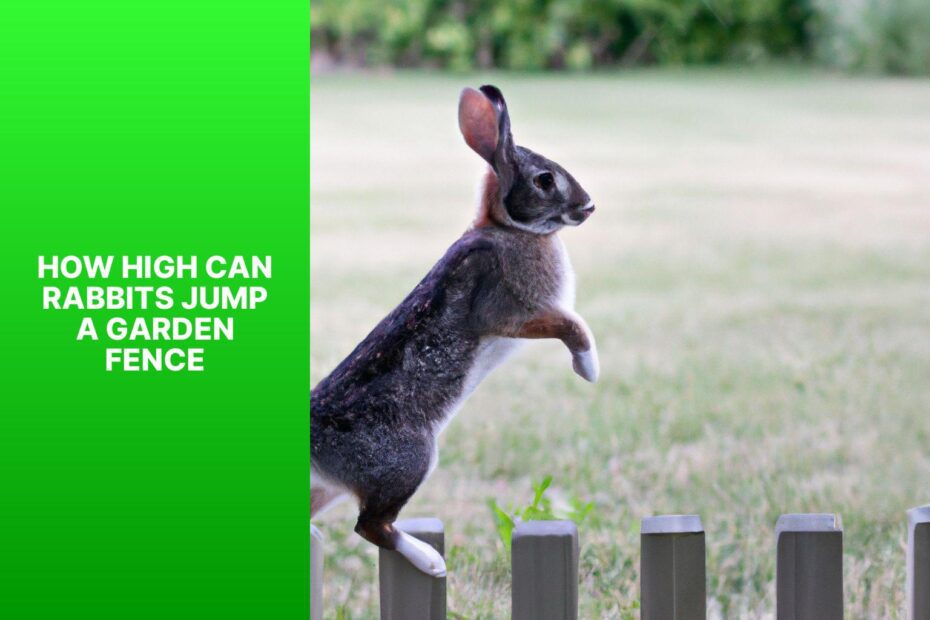 How High Can Rabbits Jump A Garden Fence